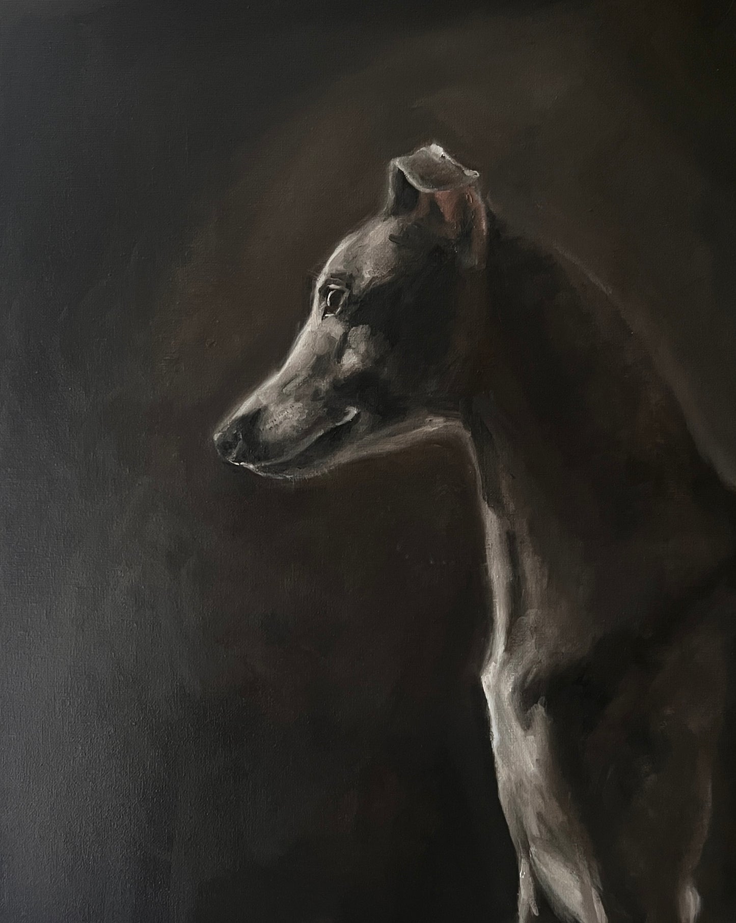 Whippet - Edition of 20