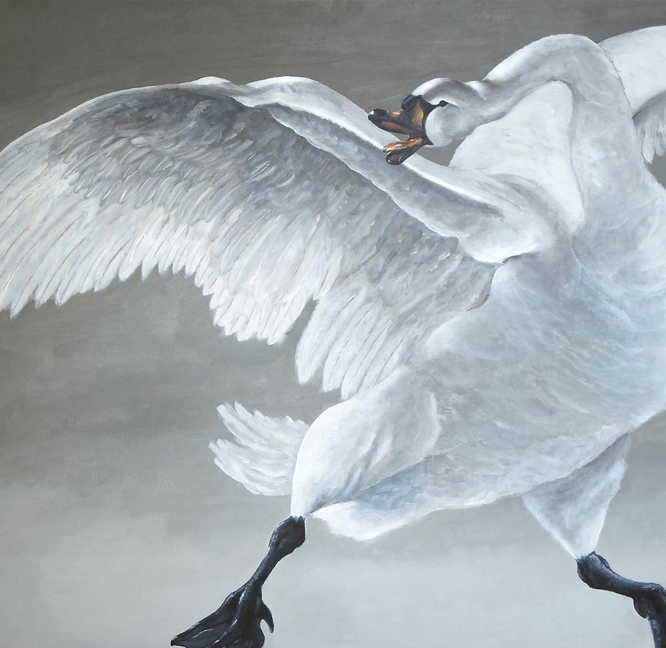 painting of a large swan