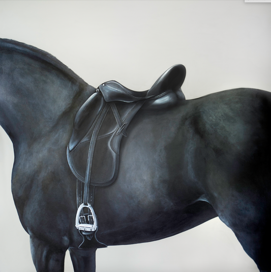 black dressage horse with a. dressage saddle