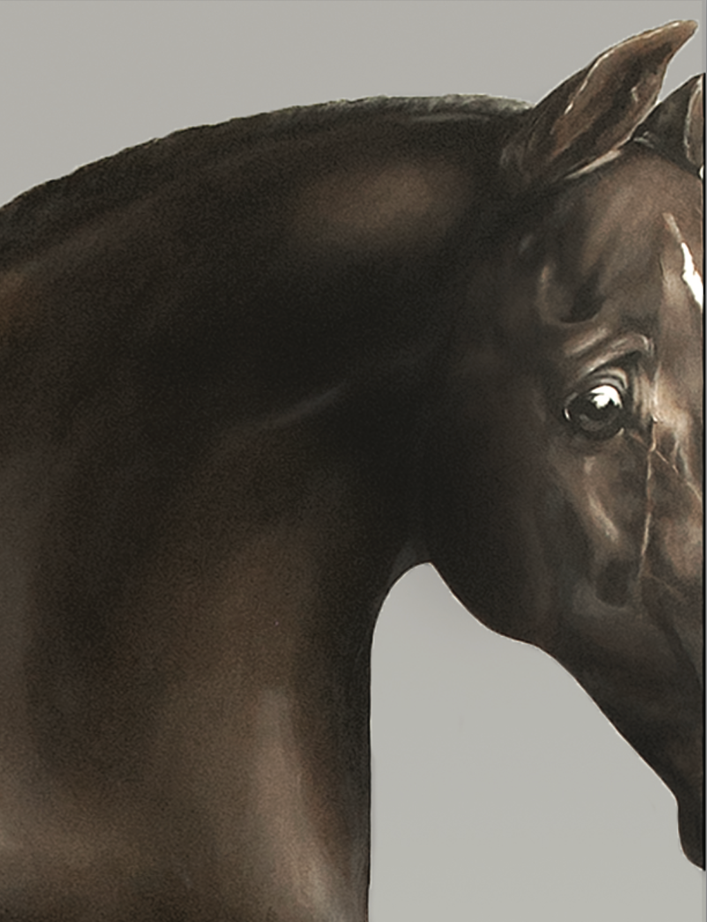painting of a bay stallion