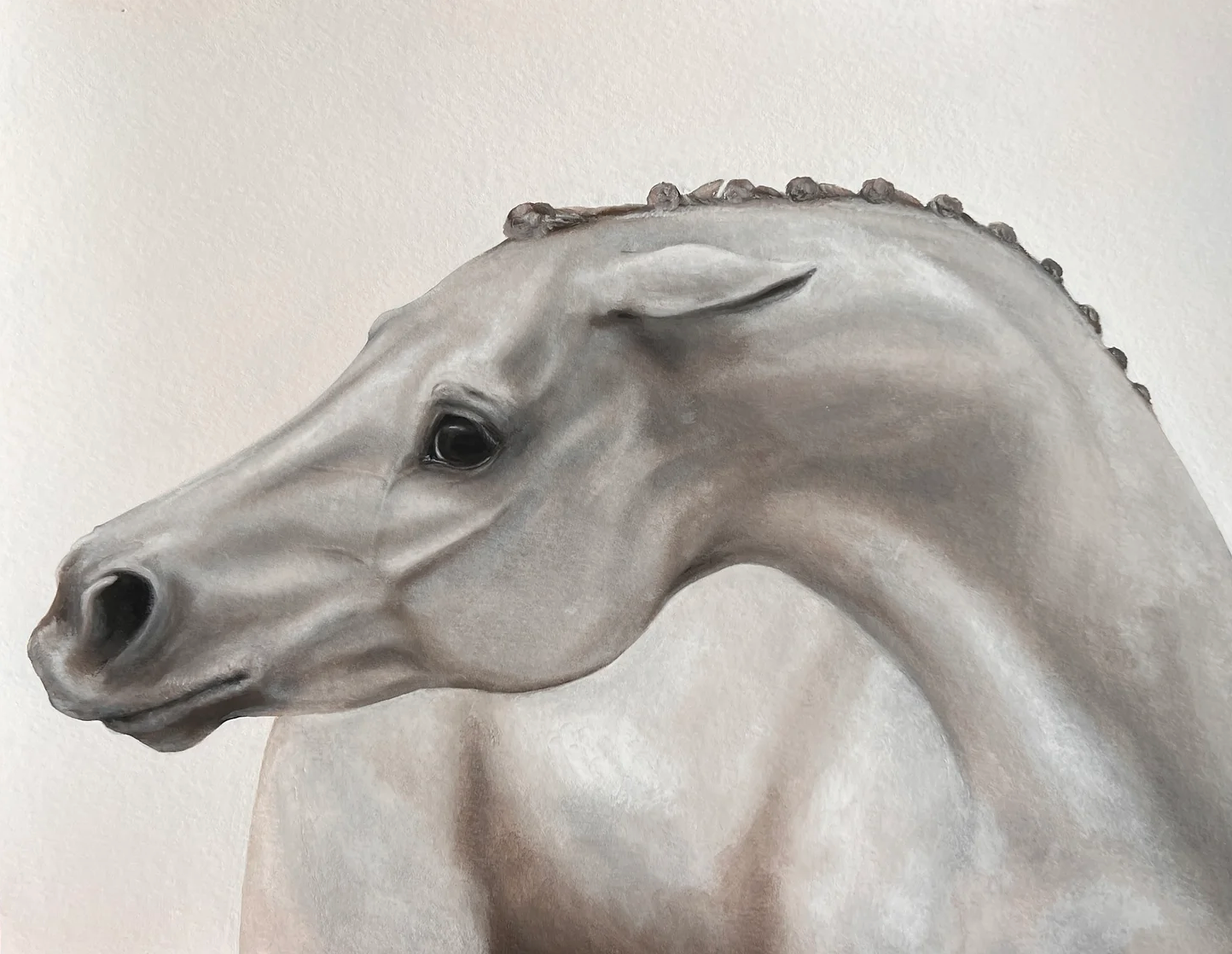 White horse with ears back- Edition of 100