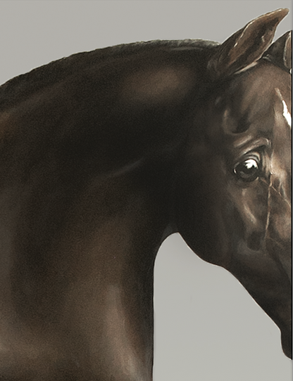 painting of a bay stallion